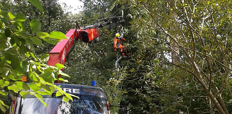 Cherry Picker Rescues Boy From Tree